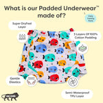 Toddler Padded Underwear