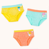 Boy Briefs - Eco Wonders (Pack of 3)