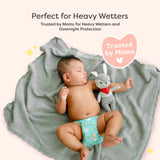 Universal Booster Pad