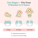 Airplane - BASIC Cloth Diaper, New & Improved with EasySnap & Quick Dry UltraThin Pad