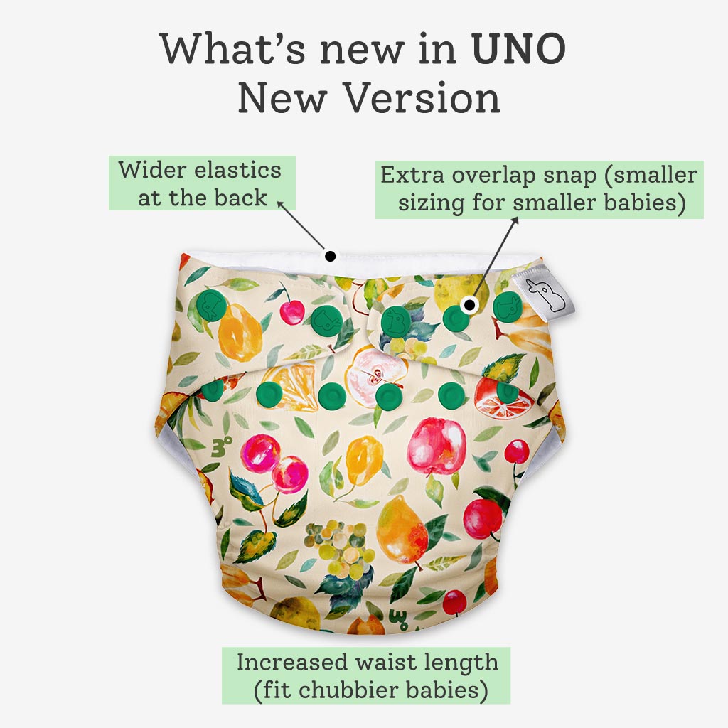 Freesize UNO Cloth Diaper (New Version)